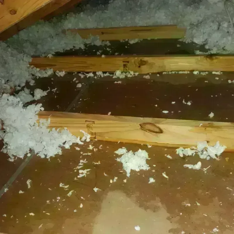 Attic Water Damage in Warm Springs, OR