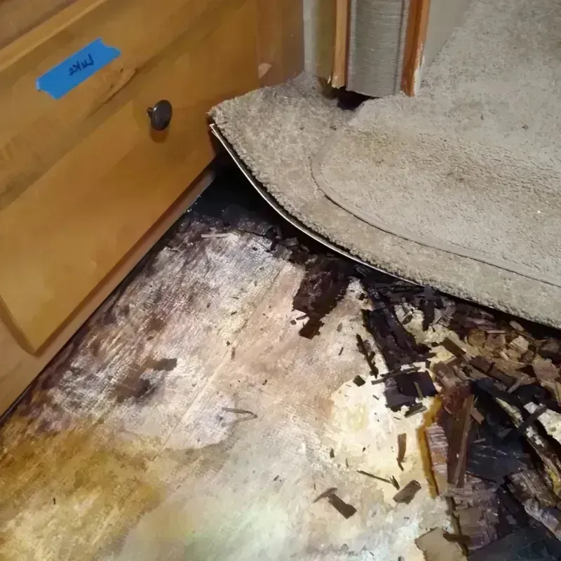 Best Wood Floor Water Damage Service in Warm Springs, OR